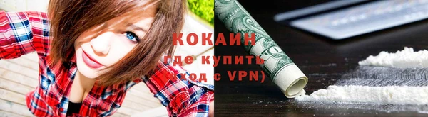 дживик Алзамай