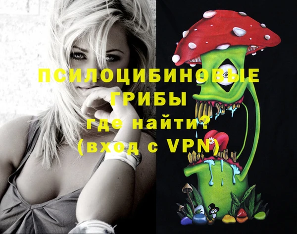 дживик Алзамай