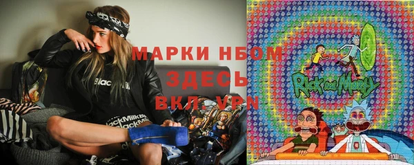 гидра Алексин