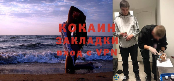 дживик Алзамай